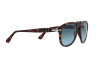 Солнцезащитные очки Persol PO 0649 (24/86)