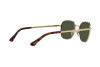 Sonnenbrille Persol PO 1009S (515/31)