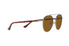 Sonnenbrille Persol PO 1011S (513/33)