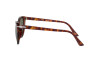 Zonnebril Persol PO 3251S (24/31)