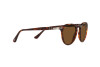 Lunettes de soleil Persol PO 3286S (24/57)