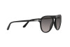 Lunettes de soleil Persol PO 3302S (95/M3)