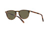 Lunettes de soleil Polo PH 4181 (5260/3)