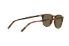 Lunettes de soleil Polo PH 4181 (5260/3)