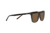 Lunettes de soleil Polo PH 4187 (562573)