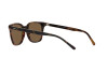 Lunettes de soleil Polo PH 4187 (562573)