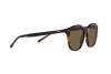 Lunettes de soleil Polo PH 4188 (500373)