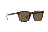 Lunettes de soleil Polo PH 4188 (500373)