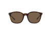 Lunettes de soleil Polo PH 4188 (500373)