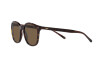 Lunettes de soleil Polo PH 4188 (500373)