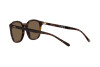 Lunettes de soleil Polo PH 4188 (500373)