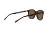 Lunettes de soleil Polo PH 4188 (500373)