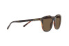 Lunettes de soleil Polo PH 4188 (562573)