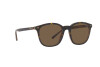 Lunettes de soleil Polo PH 4188 (562573)