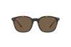 Lunettes de soleil Polo PH 4188 (562573)