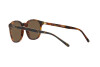 Lunettes de soleil Polo PH 4188 (562573)