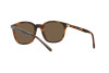 Lunettes de soleil Polo PH 4188 (562573)