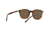 Lunettes de soleil Polo PH 4188 (562573)