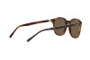 Lunettes de soleil Polo PH 4188 (562573)