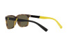 Lunettes de soleil Polo PH 4189U (5003/3)