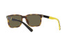 Lunettes de soleil Polo PH 4189U (5003/3)