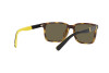 Lunettes de soleil Polo PH 4189U (5003/3)