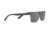 Sonnenbrille Polo PH 4189U (56966G)