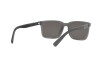 Sonnenbrille Polo PH 4189U (56966G)