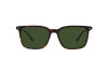 Sunglasses Polo PH 4194U (500371)