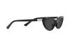 Sonnenbrille Polo PH 4199U (500187)