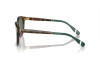 Солнцезащитные очки Polo PH 4206 (501771)