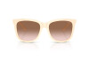 Sunglasses Polo PH 4201U (605713)