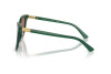 Lunettes de soleil Polo PH 4201U (619573)