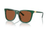 Lunettes de soleil Polo PH 4201U (619573)