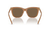 Sunglasses Polo PH 4201U (619673)