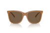 Sunglasses Polo PH 4201U (619673)