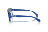 Sunglasses Polo PH 4211U (596219)