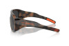 Lunettes de soleil Polo PH 4215U (59746G)