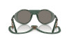 Sunglasses Polo PH 4216QU (5596Z6)