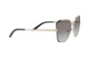 Sonnenbrille Prada PR 60XS (AAV0A7)