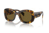 Sunglasses Prada PR A13S (VAU01T)