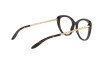 Brille Ralph Lauren RL 6199 (5003)