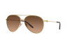 Zonnebril Ralph Lauren RL 7077 (900474)