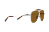 Sunglasses Ralph Lauren The Countryman RL 7078 (900133)
