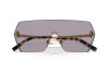 Sunglasses Ralph Lauren The Harper RL 7085 (9004AK)