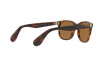 Sunglasses Ralph Lauren RL 8162P (501753)