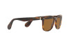 Lunettes de soleil Ralph Lauren RL 8162P (501753)