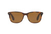Sunglasses Ralph Lauren RL 8162P (501753)