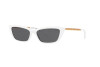 Lunettes de soleil Ralph Lauren RL 8173 (576187)