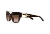 Occhiali da Sole Ralph Lauren RL 8206U (500313)